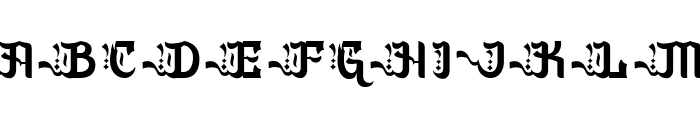 Aselami DEMO Font UPPERCASE