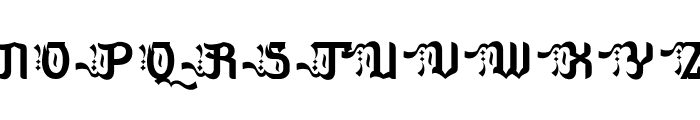 Aselami DEMO Font UPPERCASE