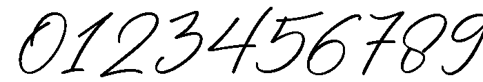 Astellan Personal Use Only Reg Font OTHER CHARS
