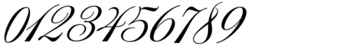 Aston Script Pro Bold Font OTHER CHARS