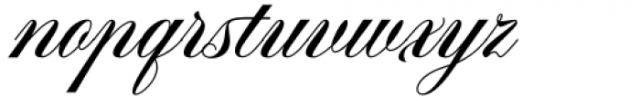 Aston Script Pro Bold Font LOWERCASE