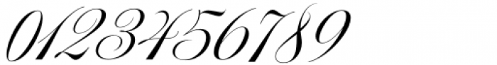 Aston Script Pro Normal Regular Font OTHER CHARS