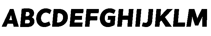 Asterisk Sans Black Italic Font UPPERCASE