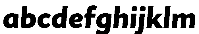 Asterisk Sans Black Italic FONT