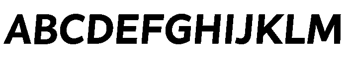 Asterisk Sans Extra Bold Italic Font UPPERCASE