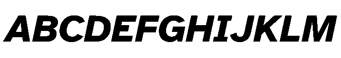 Atkinson Hyperlegible Next ExtraBold Italic Font UPPERCASE