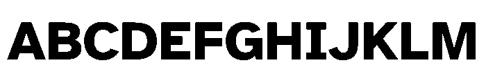 Atkinson Hyperlegible Next ExtraBold Font UPPERCASE