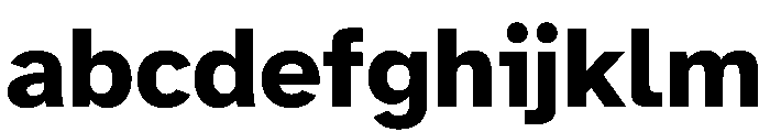 Atkinson Hyperlegible Next ExtraBold FONT