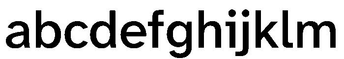 Atkinson Hyperlegible Next Medium FONT