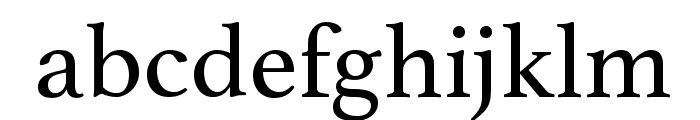 Athelas Regular Font LOWERCASE