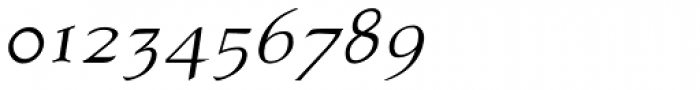 Atlantic Serif OSF Italic Font OTHER CHARS