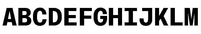 AtHaussMono Bold Font UPPERCASE