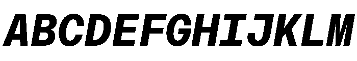 AtHaussMono BoldItalic Font UPPERCASE