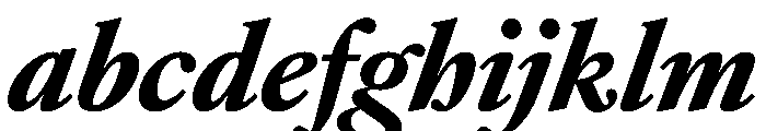 Atacama BlackItalic 01ca76c1 FONT