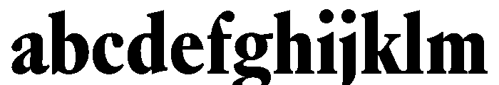 Atacama ExtraCondBlack E557083b FONT