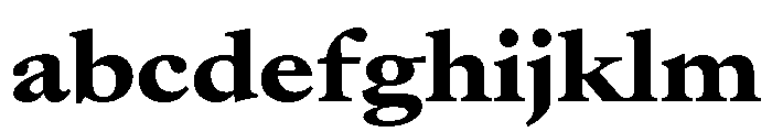Atacama UltExpBlack 1585f954 FONT