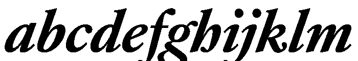 AtacamaItalicVAR ExtraBoldItalic Instance FONT
