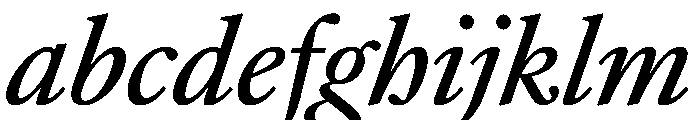 AtacamaItalicVAR MediumItalic Instance FONT