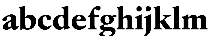 AtacamaVAR Black Instance FONT