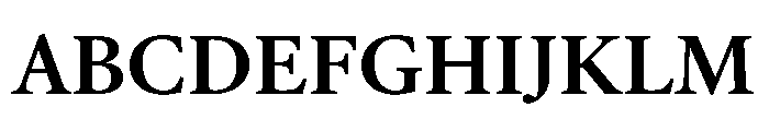 AtacamaVAR Bold Instance Font UPPERCASE