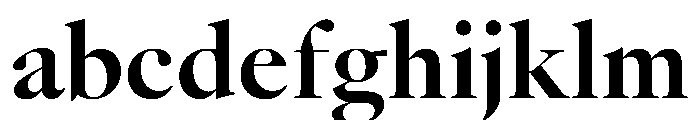 AtacamaVAR BoldContrast Instance FONT
