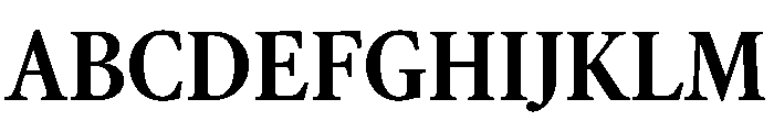 AtacamaVAR CondensedBold Instance Font UPPERCASE