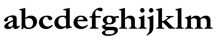 AtacamaVAR UltraExpandedBold Instance A2fc9423 FONT