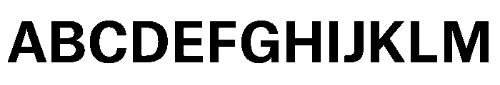 Atlas Grotesk Bold Font UPPERCASE