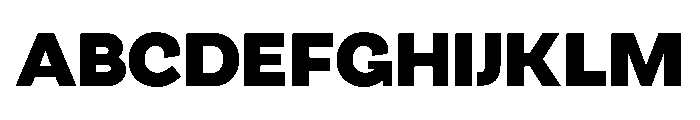 Atypical Bold FONT
