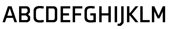 Auster Variable Bold Font UPPERCASE