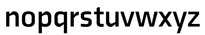 Auster Variable Bold Font LOWERCASE