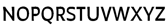Auster Variable Medium Font UPPERCASE