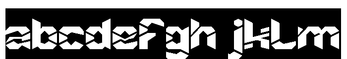 AUTONOMOUS FLIGHT-Inverse FONT