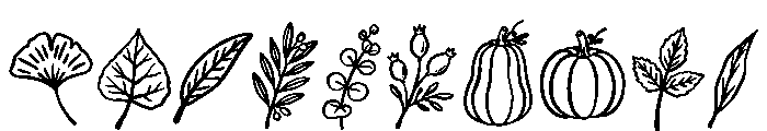 Autumn foliage Font OTHER CHARS
