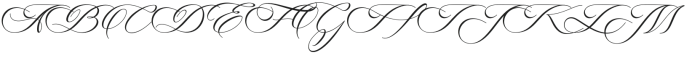 Auckland Script Regular otf (400) Font UPPERCASE