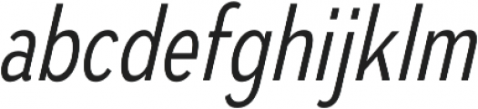 Autoradiographic Light Italic otf (300) Font LOWERCASE