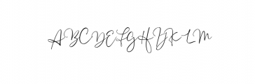 Aussiente Signature.ttf Font UPPERCASE