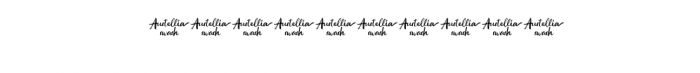 Austellia Swash.otf Font OTHER CHARS