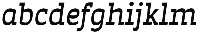 Auster Slab Italic Font LOWERCASE