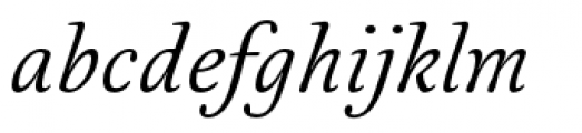 Australis Pro Italic Font LOWERCASE