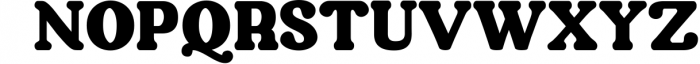 Aubergine - Modern Bold Serif Font UPPERCASE