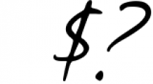 Audys - Elegant Script Font 1 Font OTHER CHARS