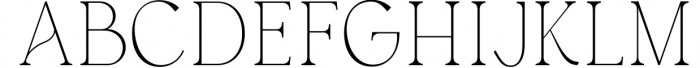 Austen - Aesthetic Serif Font 1 Font UPPERCASE