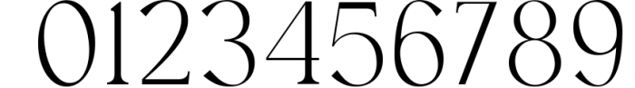 Austen - Aesthetic Serif Font 2 Font OTHER CHARS