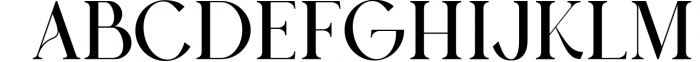 Austen - Aesthetic Serif Font 3 Font UPPERCASE
