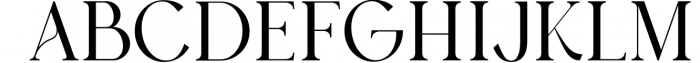 Austen - Aesthetic Serif Font 4 Font UPPERCASE