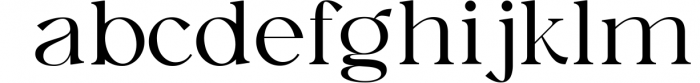 Austen - Aesthetic Serif Font 4 Font LOWERCASE