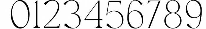 Austen - Aesthetic Serif Font 5 Font OTHER CHARS