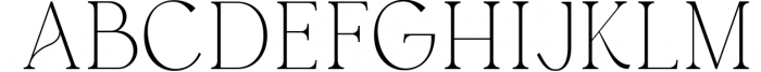 Austen - Aesthetic Serif Font 5 Font UPPERCASE