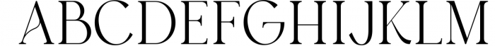 Austen - Aesthetic Serif Font 6 Font UPPERCASE